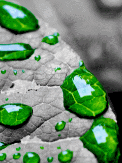 3D Screensavers 0073